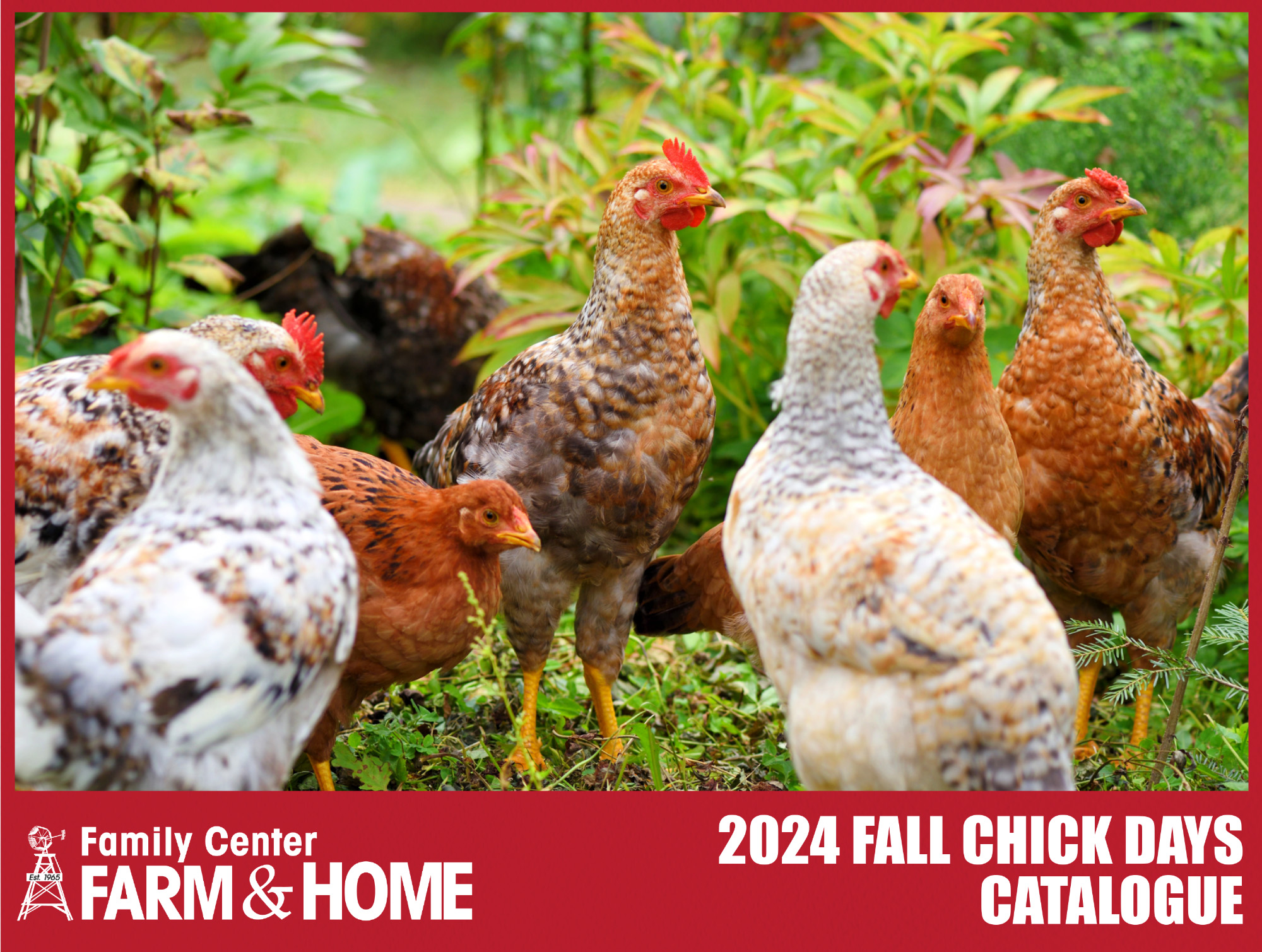 Chick Days 2024 | Family Center Farm & Home