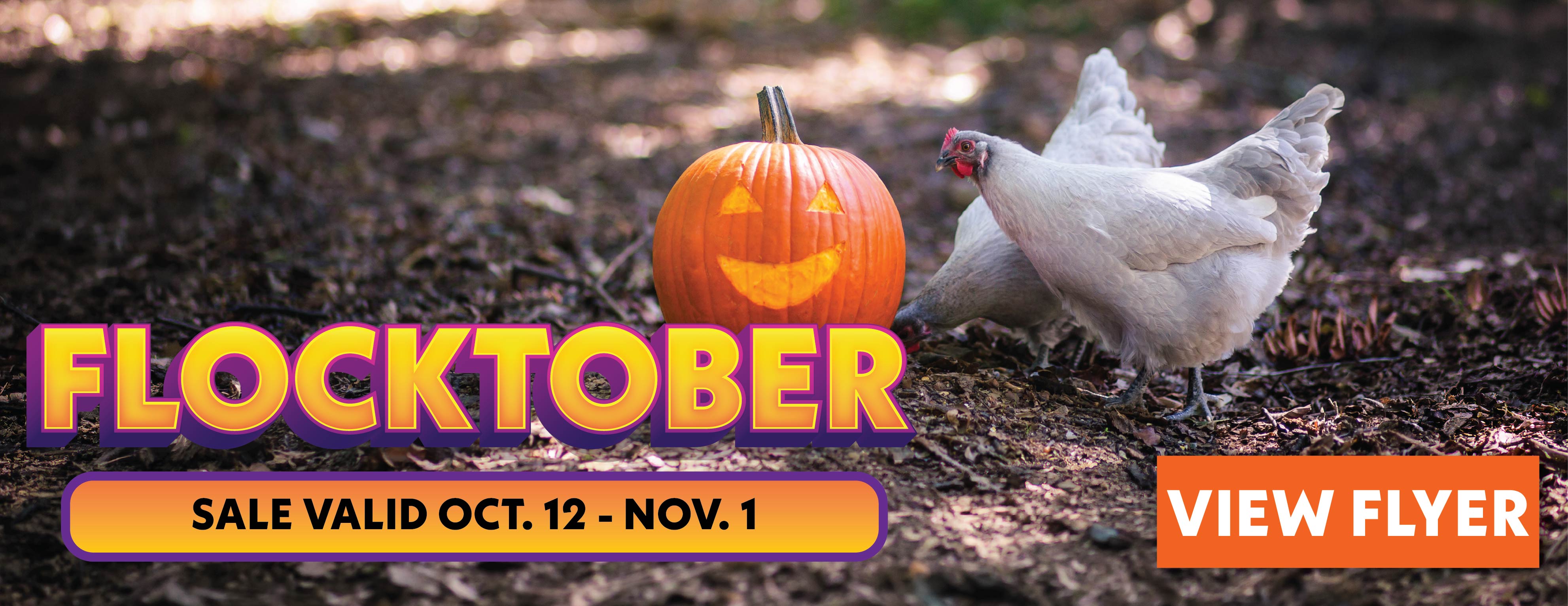 Flocktober Sale