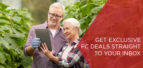 subscribe to the newsletter