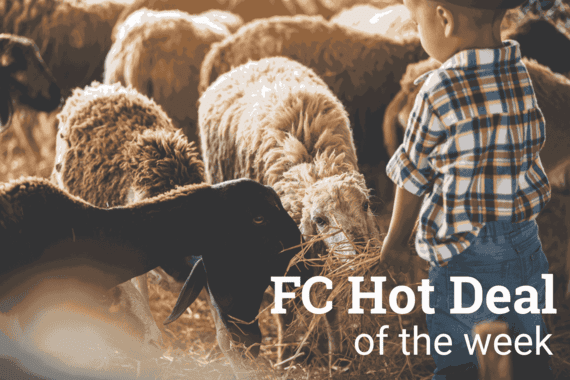 hot deal of the week