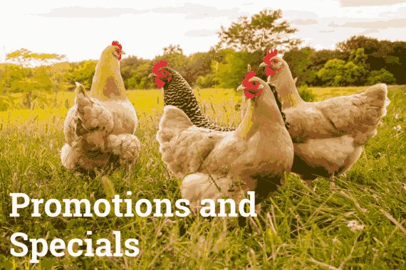 current promotions and specials